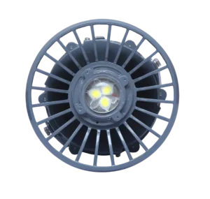 Flameproof Flood Light IFF50