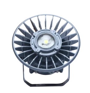 Flameproof Flood Light IFF40
