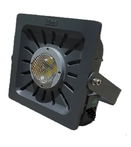 COB Flood Light IWF10