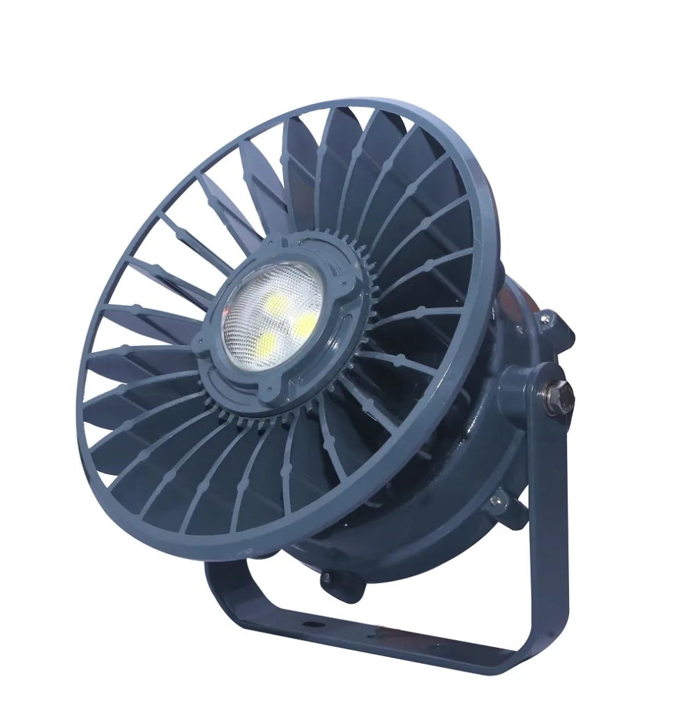 Flameproof Flood Light IFF50