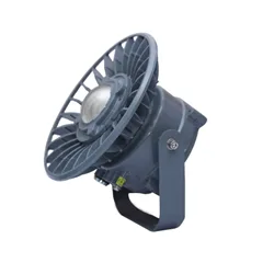 Flameproof Flood Light IFW40